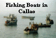 Fishing Boats in Callao.jpg (50538 bytes)