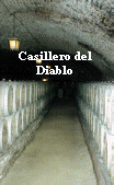 Casillero del Diablo.jpg (56155 bytes)